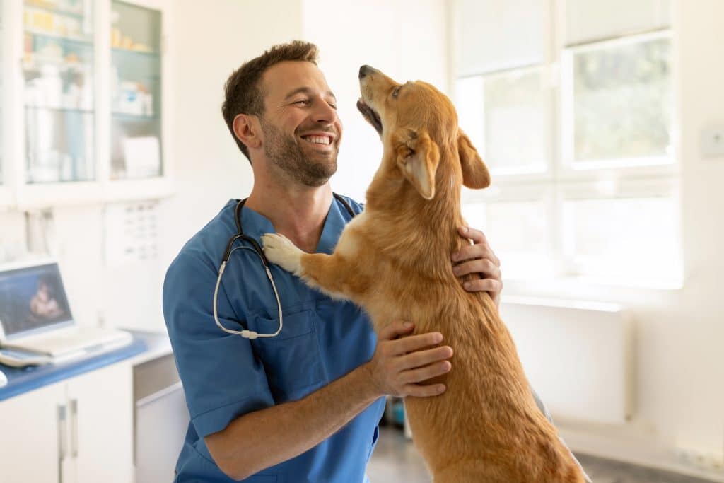 A smiling veterinarian in blue scrubs hugs a happy brown and white dog standing on its hind legs in a bright, modern clinic, where industrial lint rollers help keep uniforms spotless.