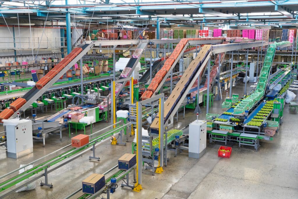 A large, modern factory interior with conveyor belts transporting boxes and goods, various machinery, and colorful packaging materials—including bulk lint rollers—visible throughout the organized, industrial workspace.