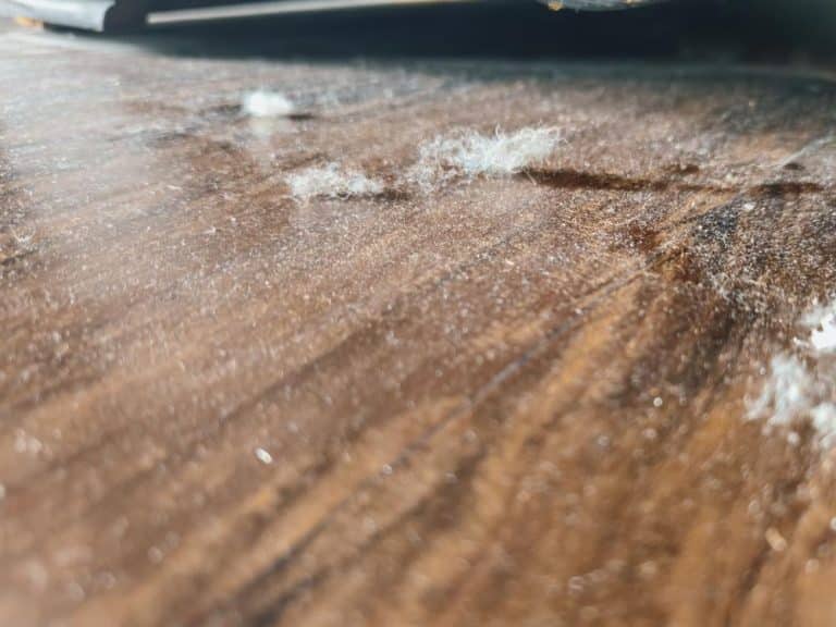 Industrial lint remover